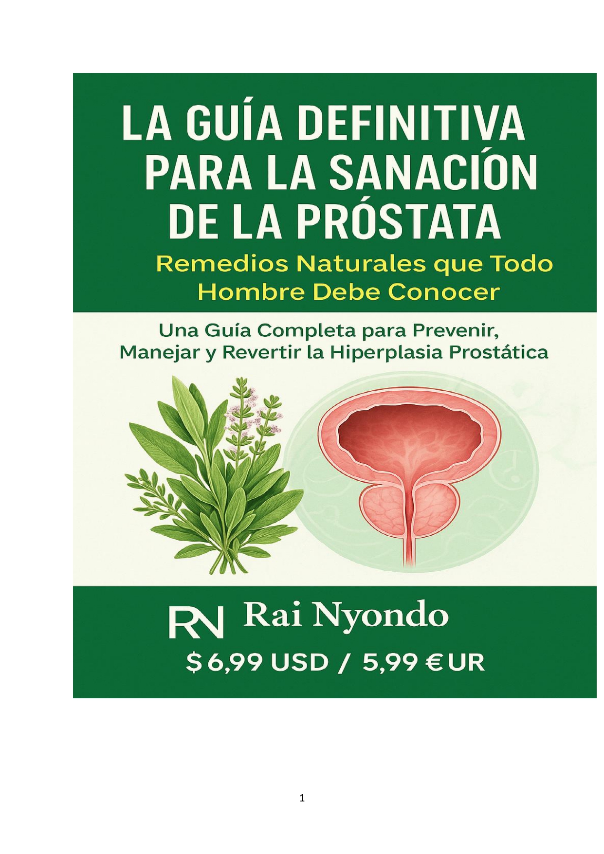 EL PLANO DE SANACIÓN DE LA PRÓSTATA REMEDIOS NATURALES QUE TODO HOMBRE DEBE CONOCER Book Cover